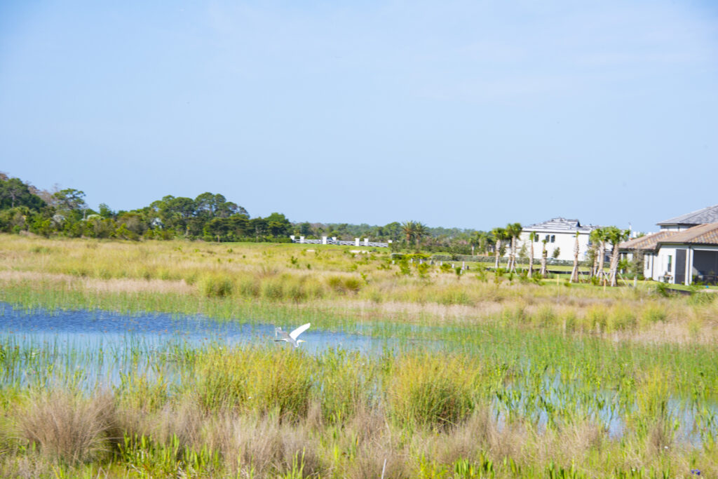 Conservation Meets Community at Kingston