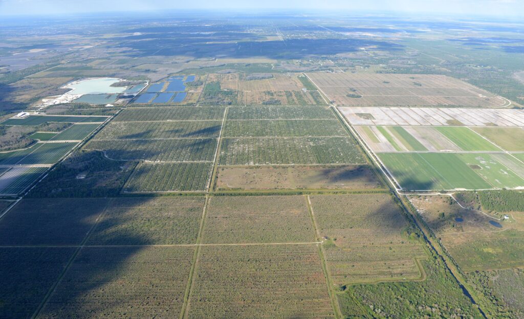 Top deals reshape SWFL real estate market in 2025